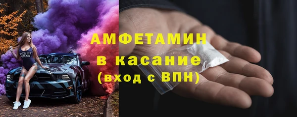 прущие грибы Верхний Тагил