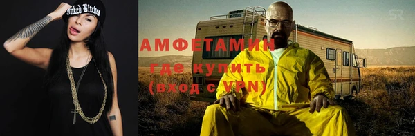 прущие грибы Верхний Тагил